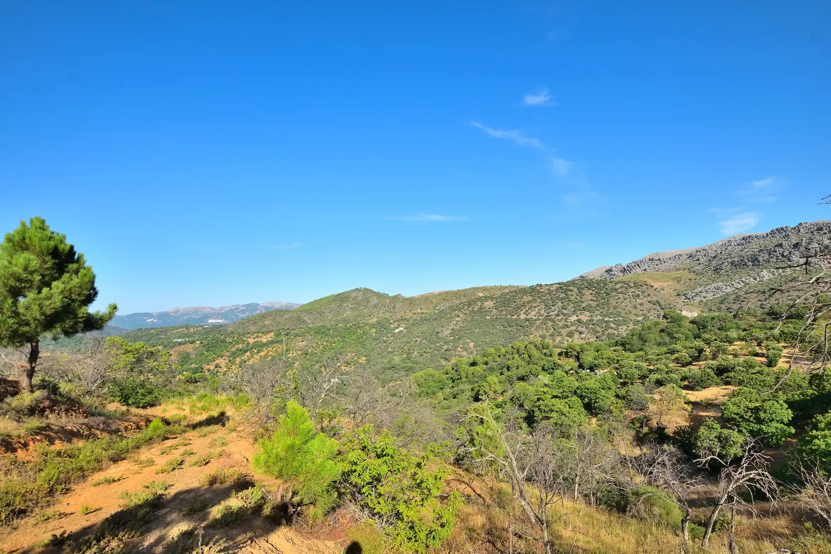 Terreno en venta en Calle Padre Francisco Rodríguez Gallego, 29, Cartajima