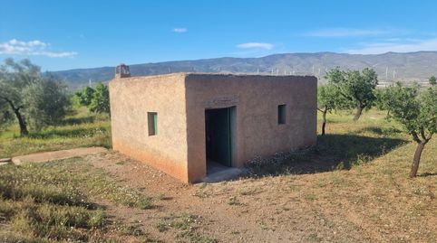 FINCA CON OLIVOS Y ALMENDROS EN ABRUCENA, immagine 2