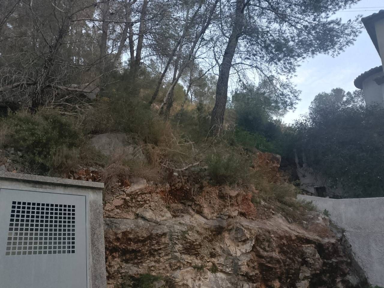 Exterior view of Industrial land for sale in Gandia