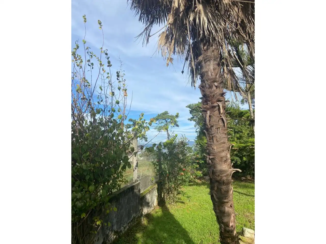 Houses for rent in Vilanova de Arousa
