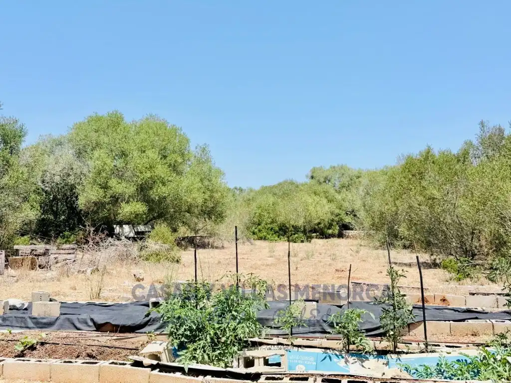 Casa rustica in vendita a Urbanizacion Binixica, imagen 5