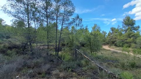 Gran Finca rústica en Valderrobres
