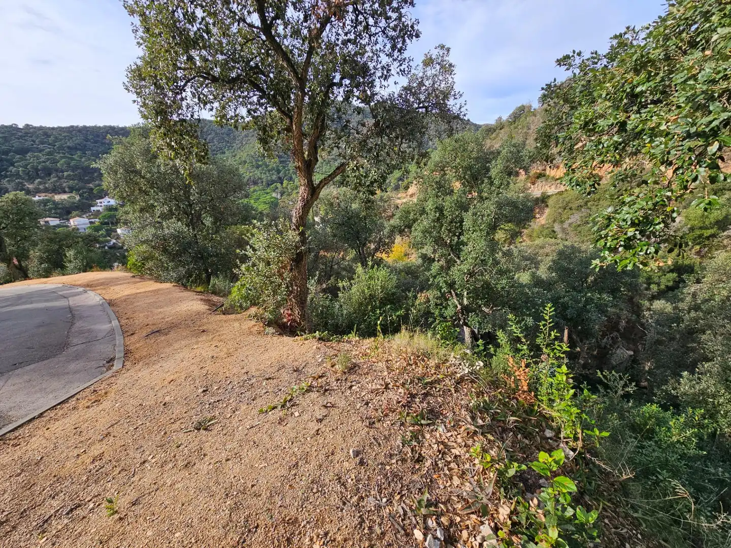 Residential land for sale in Urbanizacion de Rosamar, imagen 25