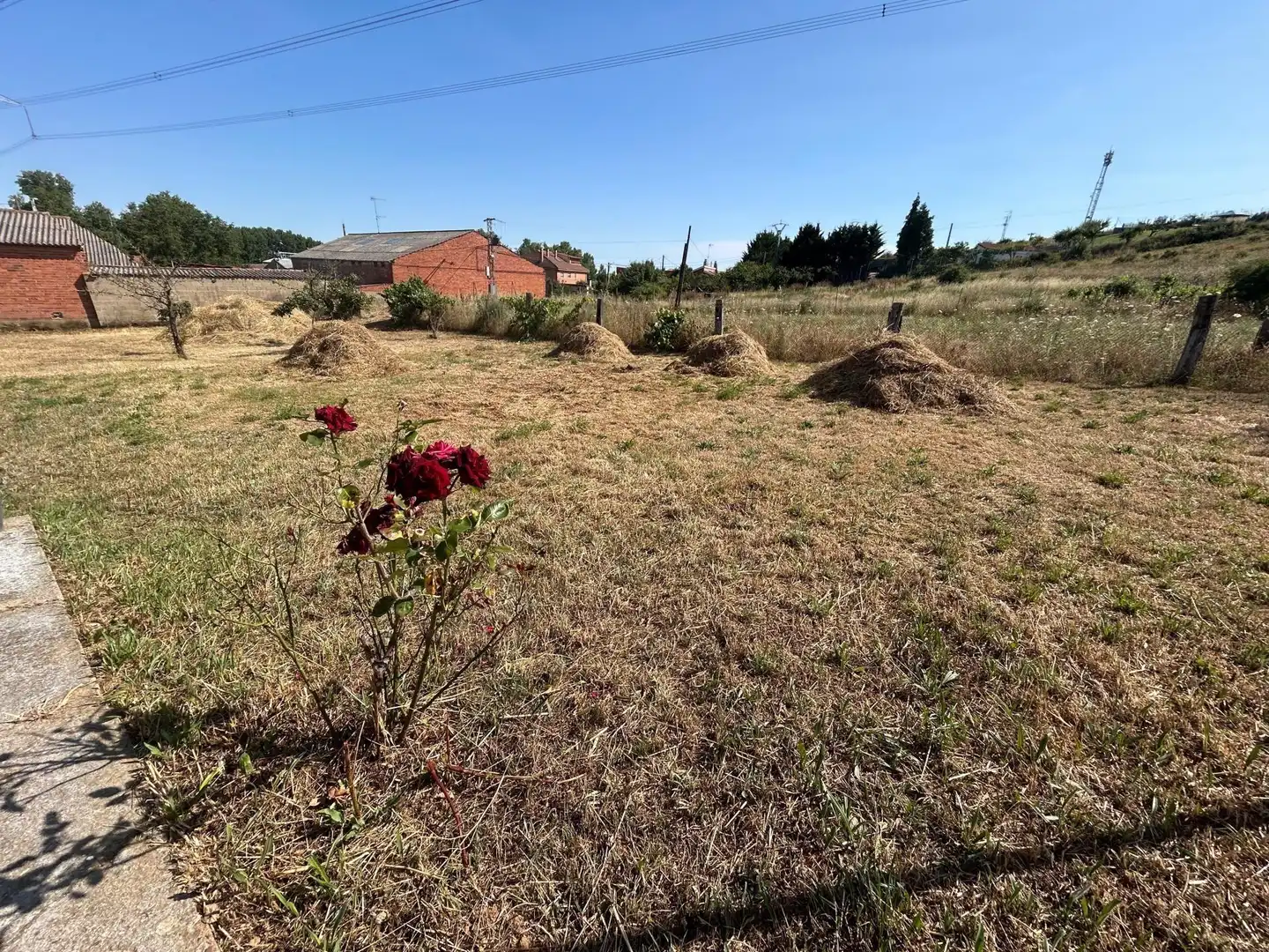 Finca rústica en venta en Benavides