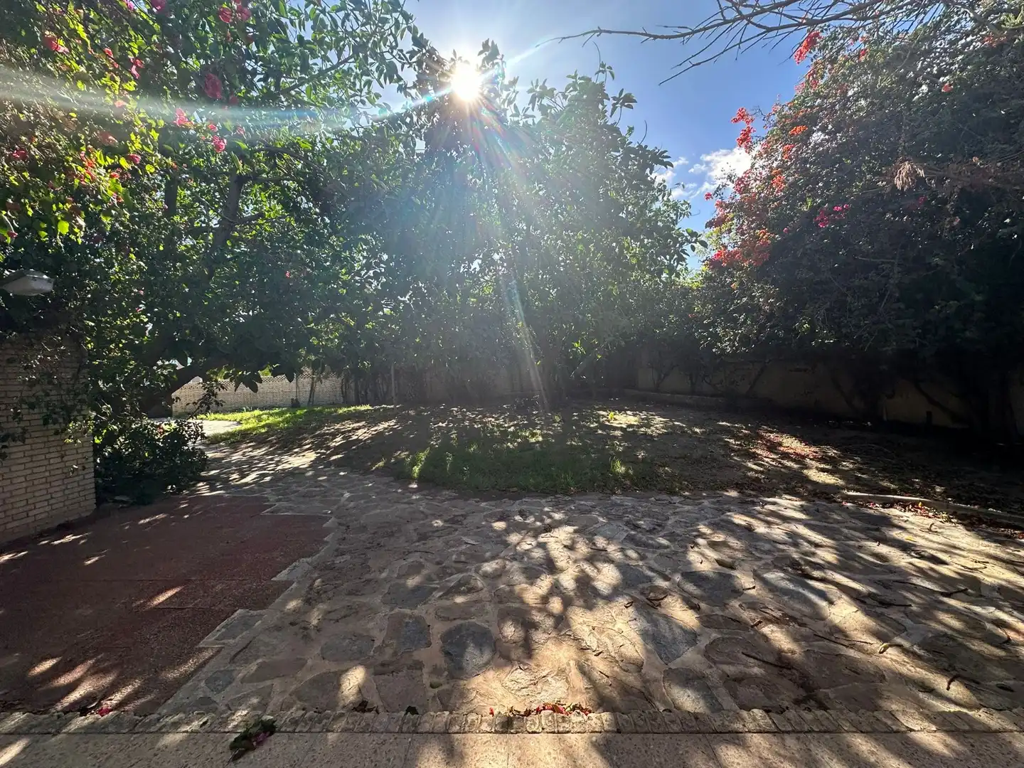 Jardí de Casa o xalet en venda en Alicante / Alacant amb Jardí privat, Terrassa i Piscina