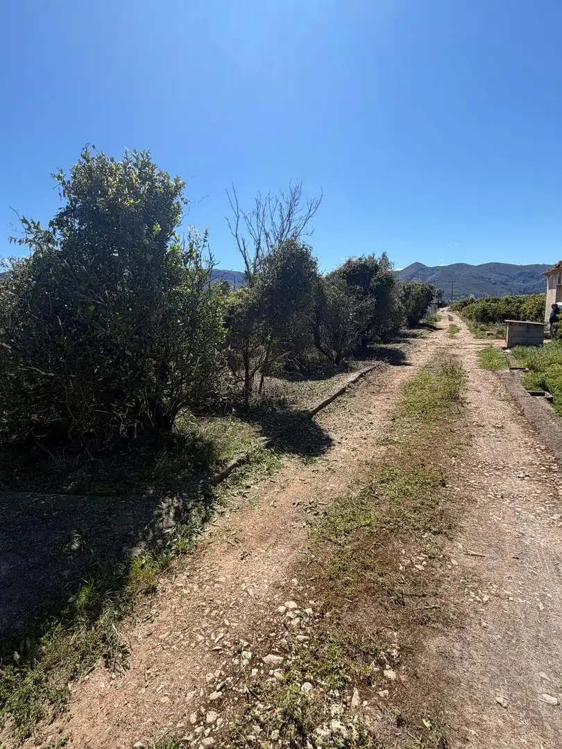 Rural land for sale in Pego, imagen 5
