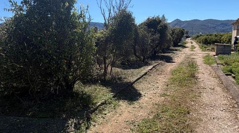 Finca rustica, imatge 5