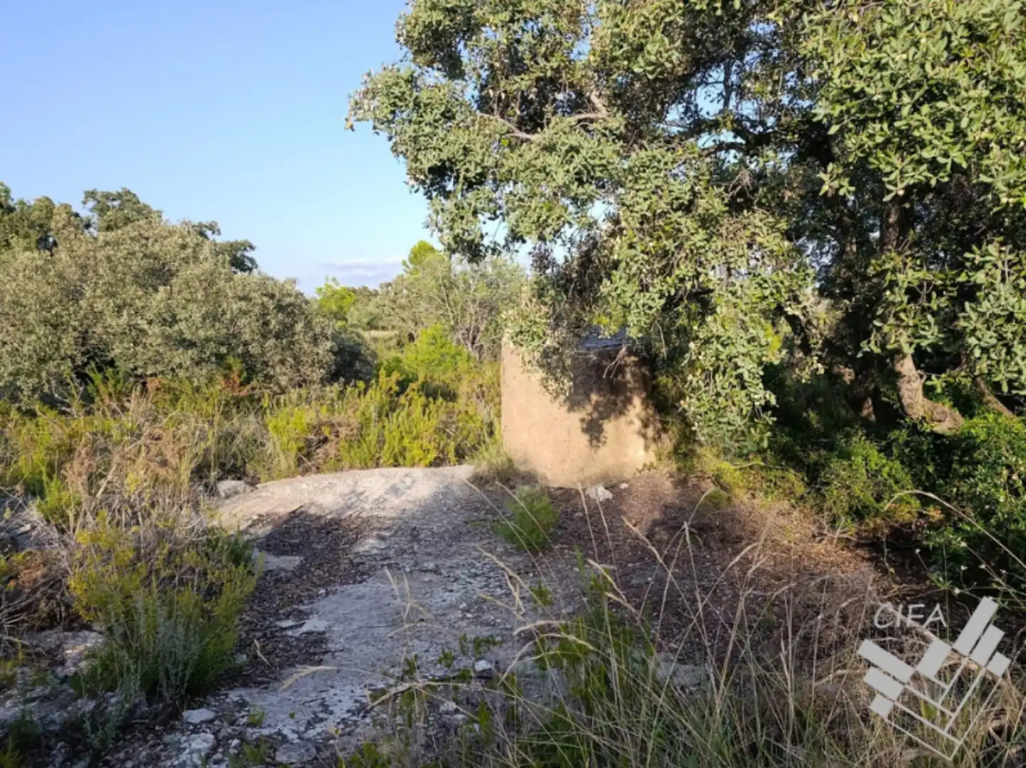 Terreno rustico in vendita a 14, imagen 6