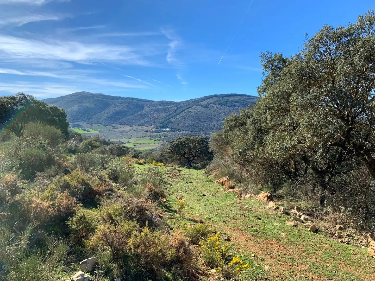 Casa rústica amb jardí en venda a Zafarraya, imagen 30