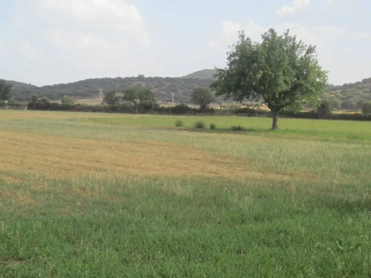 Terreno rustico in vendita a Calle RONDA DEL MEDIODIA, imagen 18