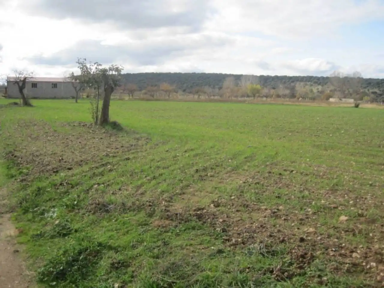 Terreno residencial en venta en Carretera AGUEDA, imagen 10