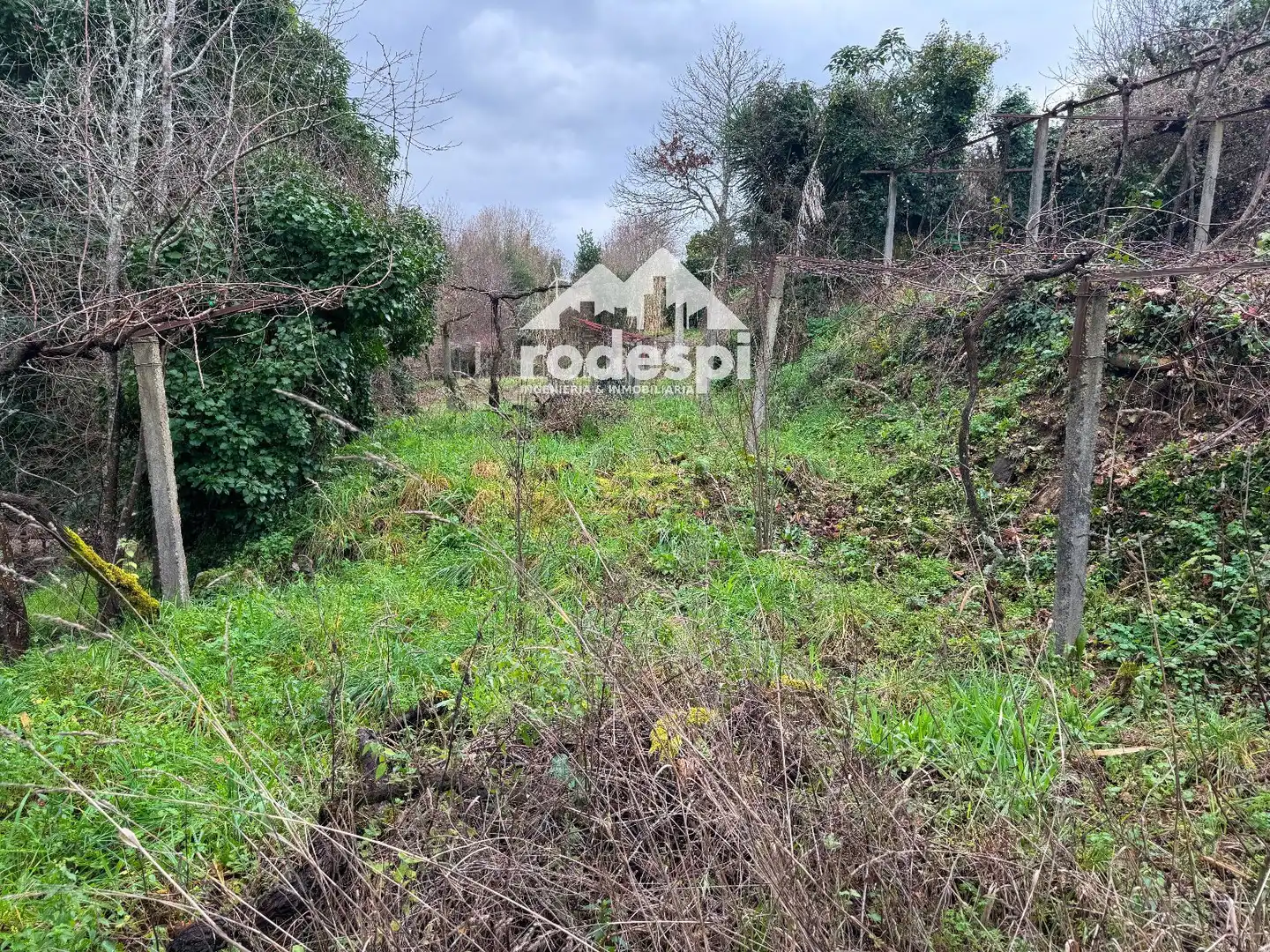 Casa o chalet en venta en Arbo