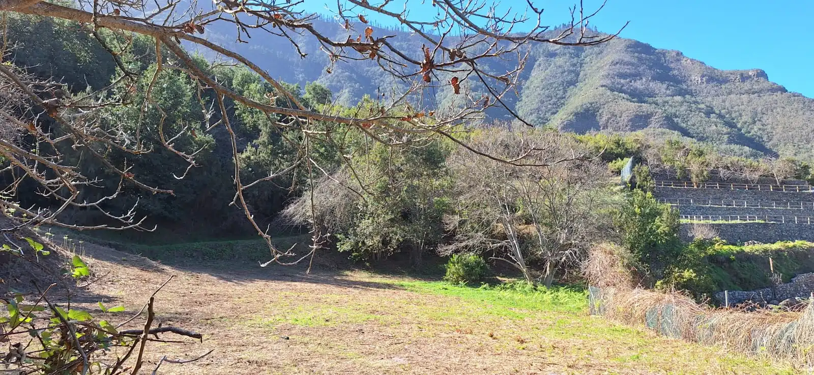 Finca rústica en venta en Los Realejos con Jardín privado y Terraza