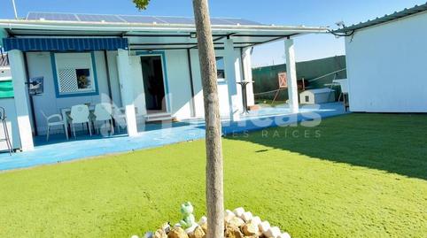 Foto 4 de Finca rústica en venda a Plaza Polígono 25 Paraje 89 Pozo Nuevo, 15, Vista Azul - Consolación, Dos Hermanas