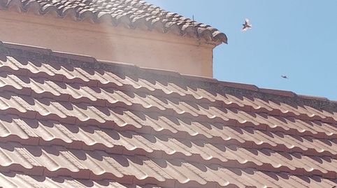 Foto 2 de Casa o chalet en venta en Centro, Puertollano