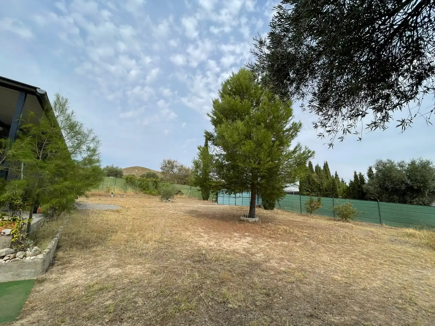 Terreny rústic en venda a M-313 6, imagen 34