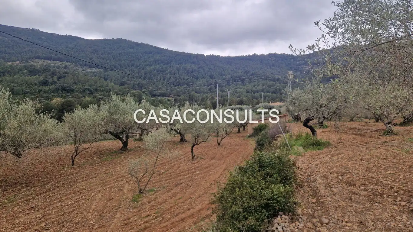 Casa rústica amb jardí en venda a Llucena / Lucena del Cid, imagen 11