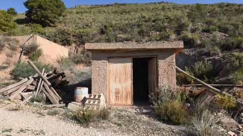 VENTA DE BONITA FINCA DE OLIVOS EN LANJARÓN GRANADA, imatge 4