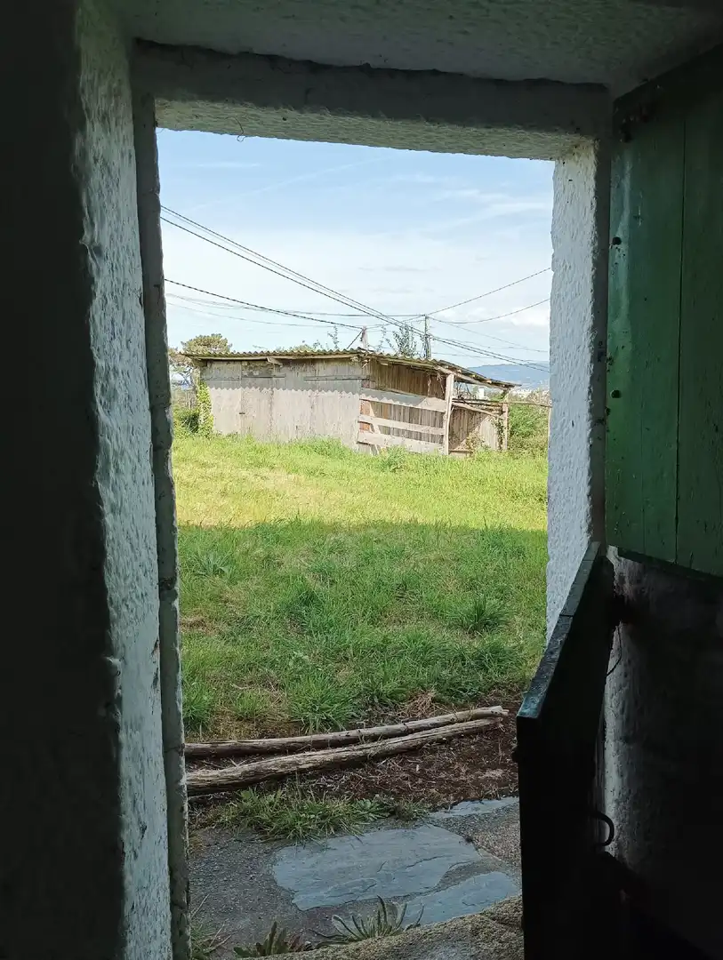 Houses for sale in Centro