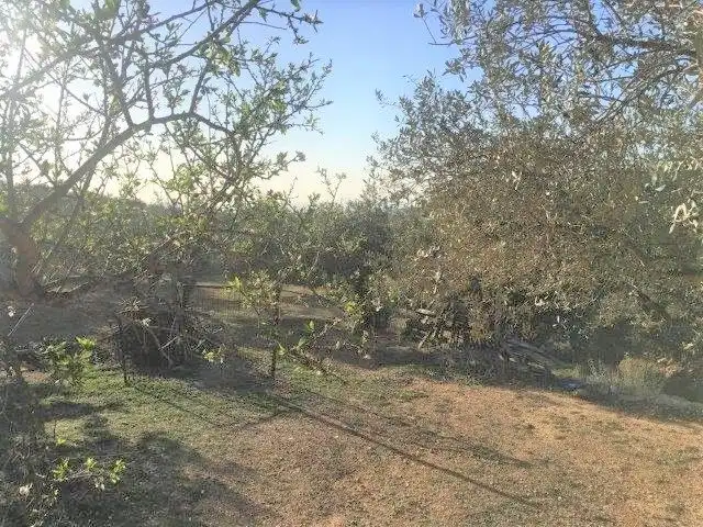 Casa o xalet en venda en Tortosa