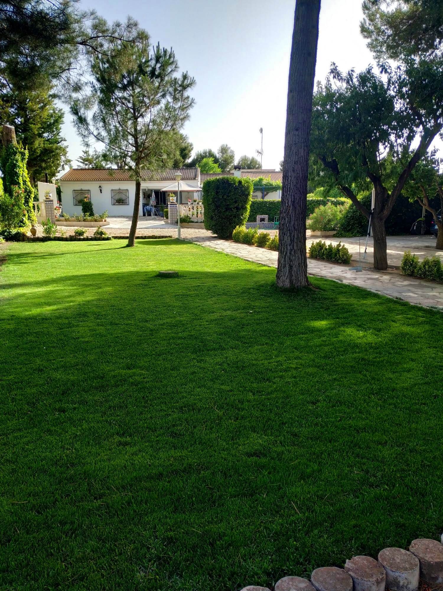 Jardí de Casa o xalet en venda en  Albacete Capital amb Aire condicionat, Jardí privat i Terrassa