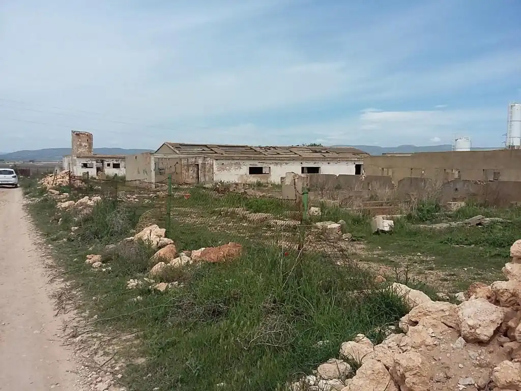 Terreny rústic en venda a POLIGONO, imagen 15