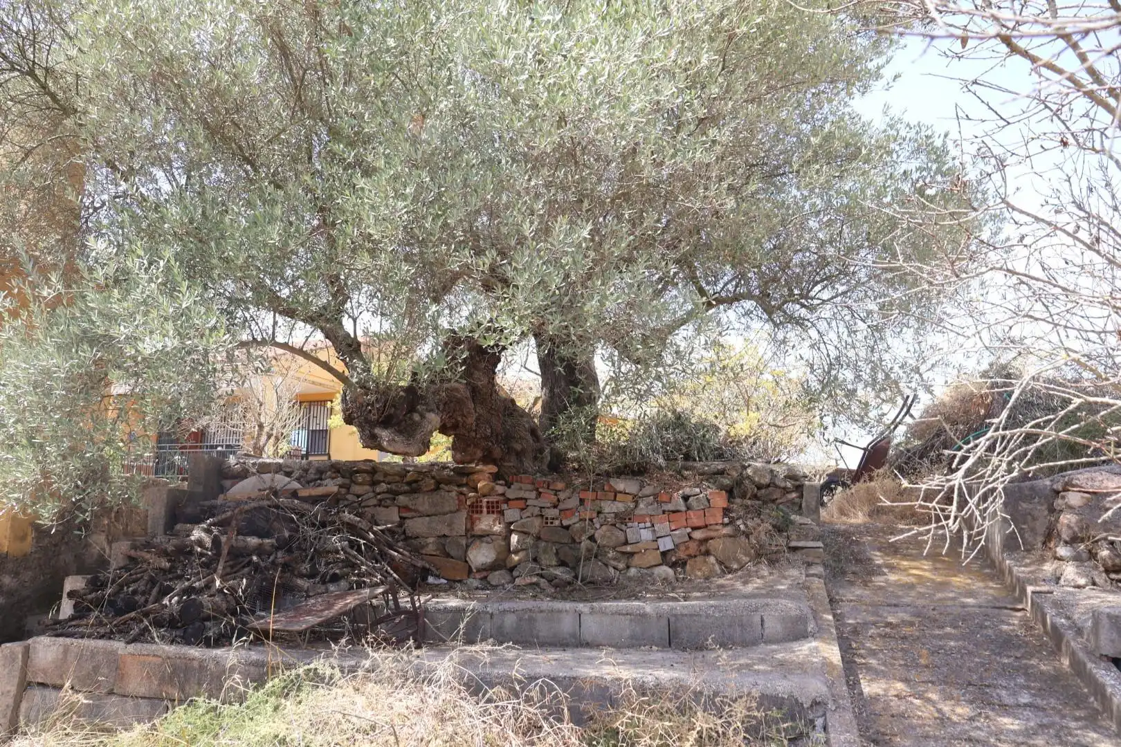 Casa rústica en venda a Vall d'Alba, imagen 44