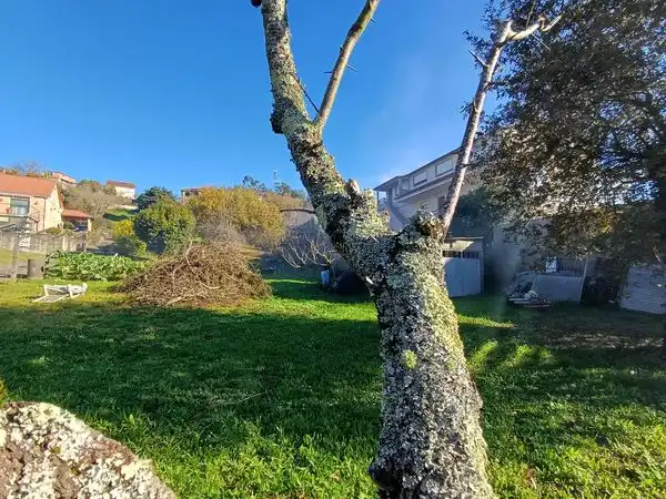 Terreni e lotti in vendita a Camino Petón, imagen 28