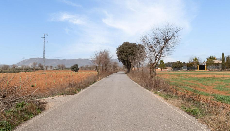 Foto 1 de Terreno en venta en  Polígono 23 Parcela 63 la Zanja. Albolote (granad, 23, Albolote, Granada