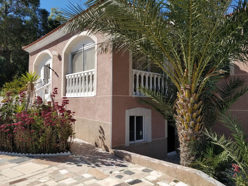 Vista exterior de Casa o xalet en venda en  Murcia Capital amb Aire condicionat, Calefacció i Jardí privat