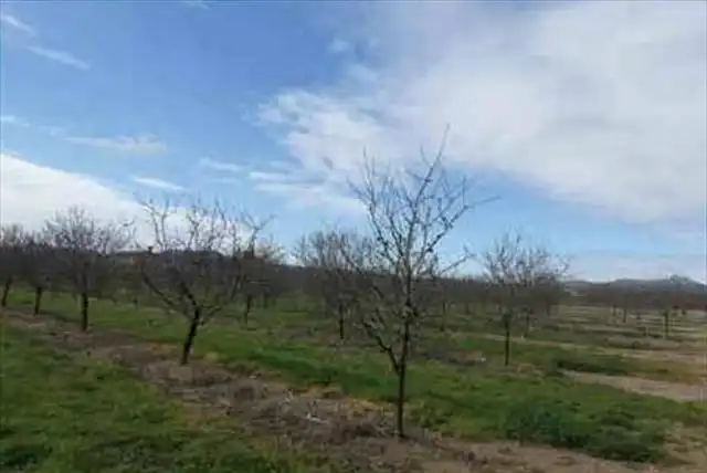 Residential land for sale in Benissanet, imagen 3