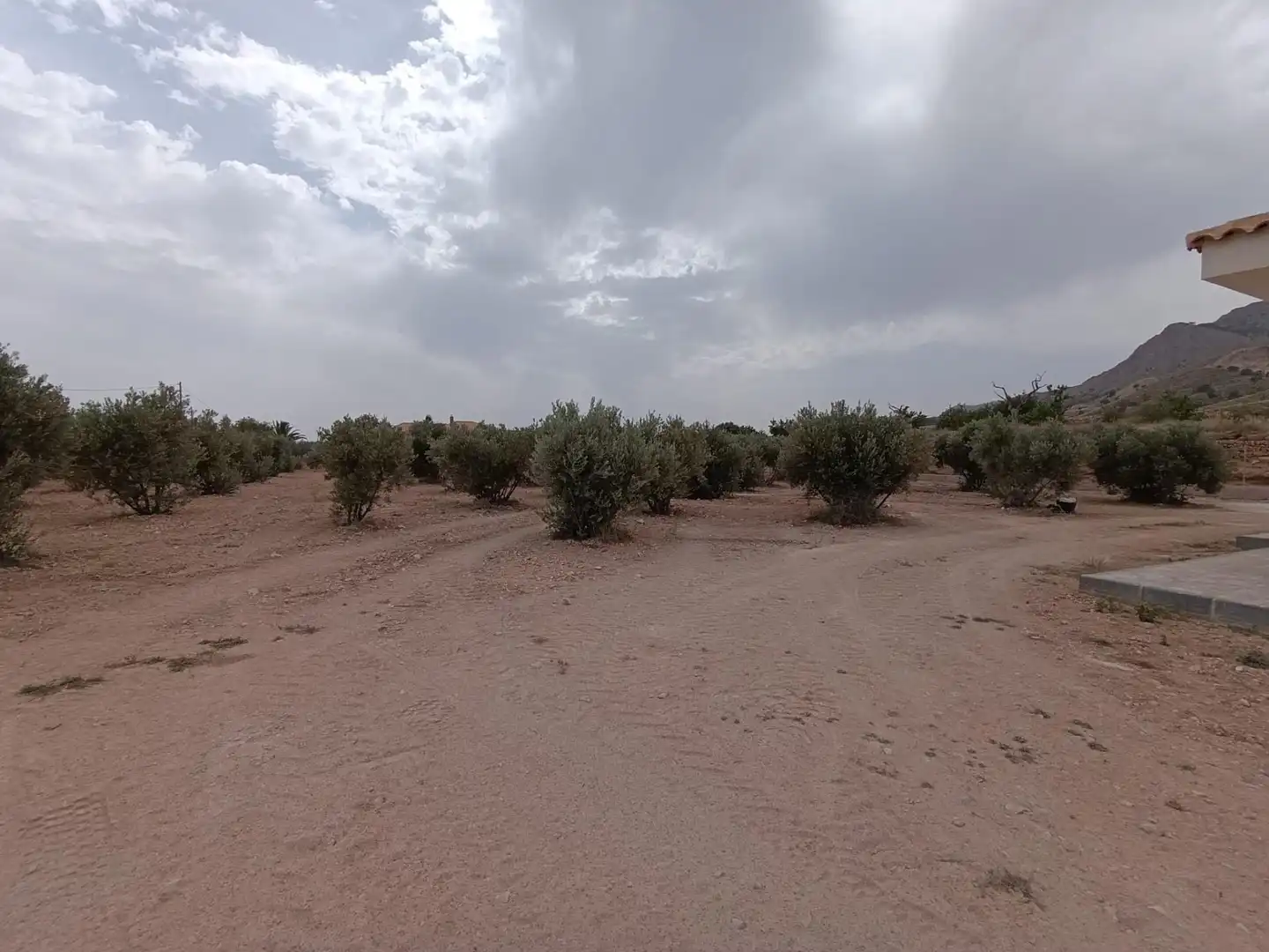 Xalet en venda a Abanilla, imagen 17