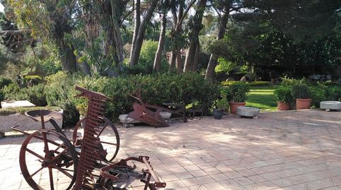 Foto 4 de Finca rústica en venda a Catalunya, Santa Cristina Poble, Santa Cristina d'Aro