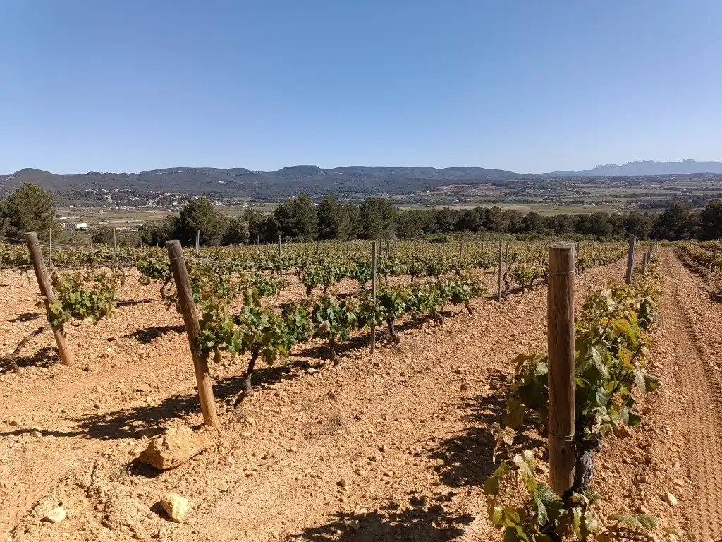 Rustikales Grundstück zum Verkauf in Sant Julià, imagen 4