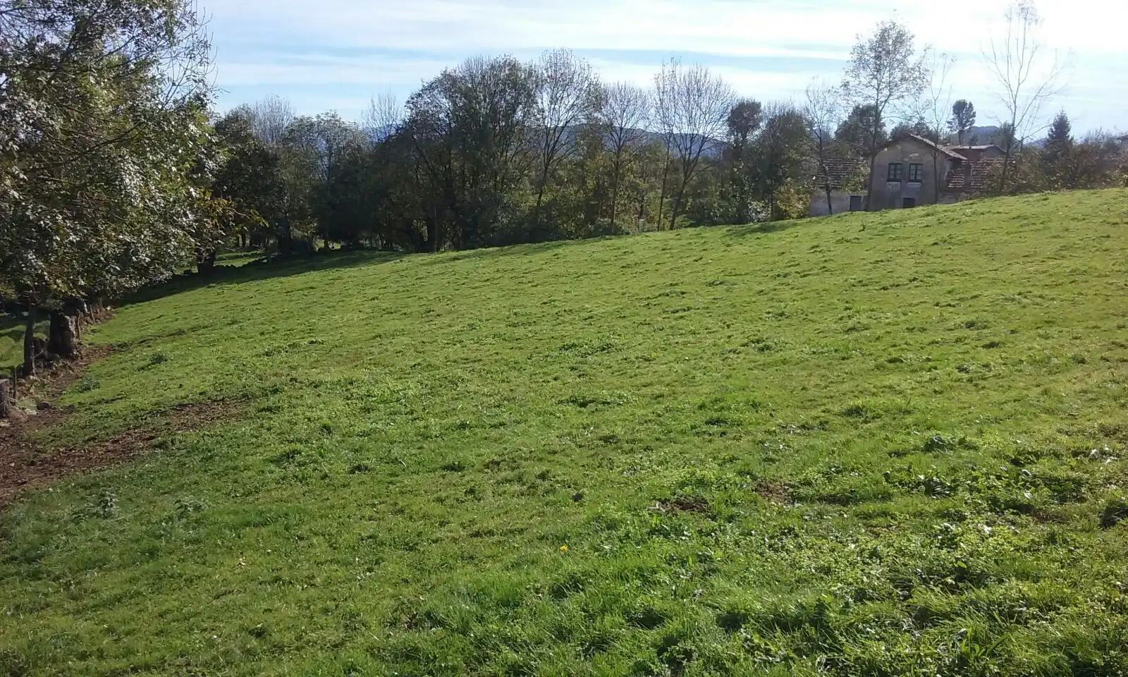 Grundstücke und Bauplätze zum Verkauf in Piloña, imagen 6
