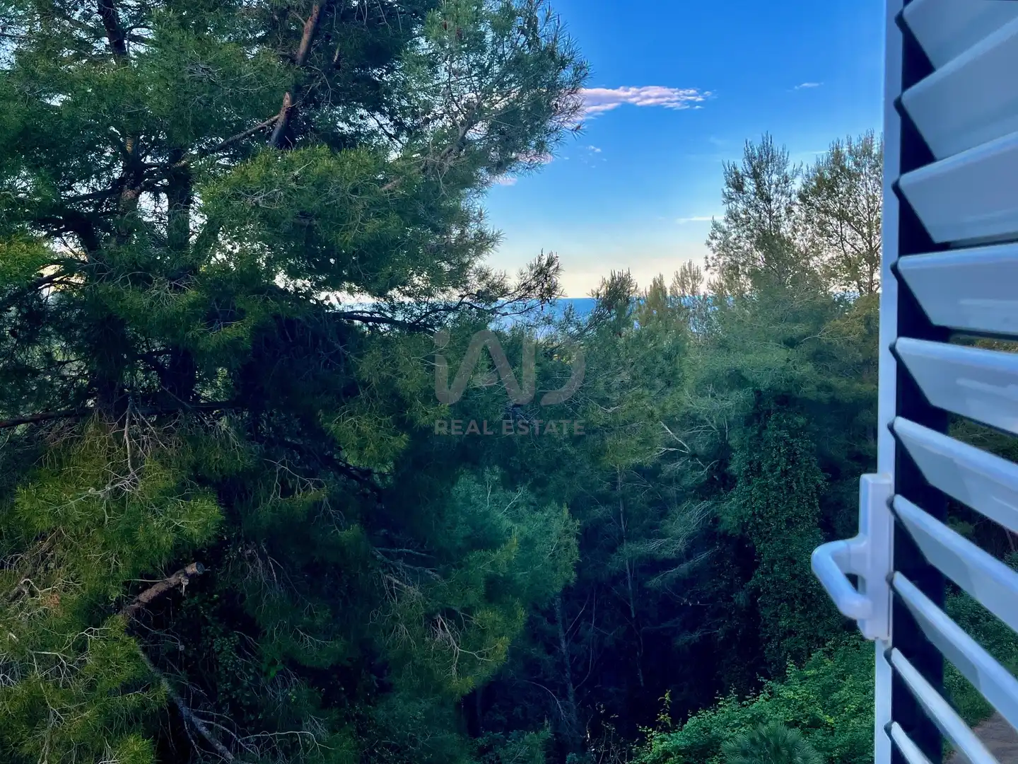 Casa o chalet en venta en Alcalà de Xivert con Terraza y Piscina