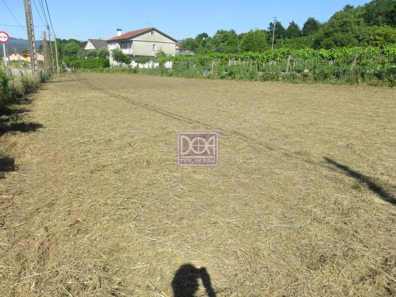 Lands and plots for sale in Mondariz, imagen 8
