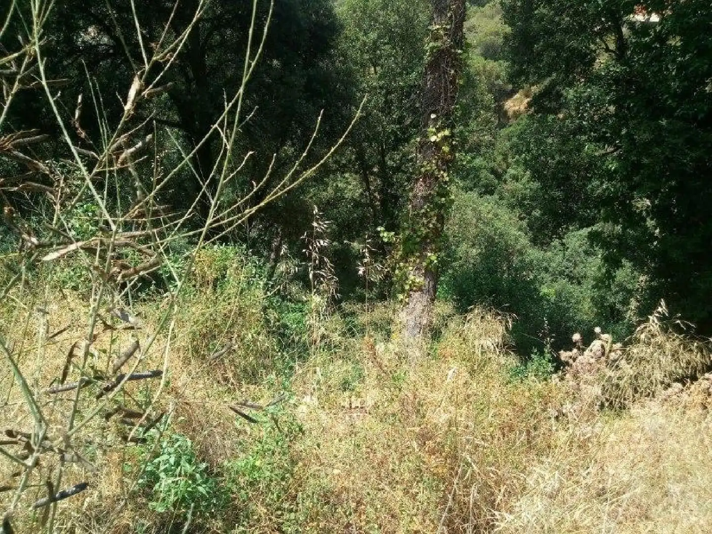 Terrenys i solars en venda a Can Massuet del Far, imagen 7