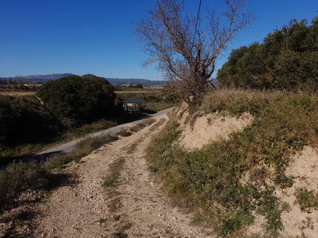 Rural land for sale in Ginestar, imagen 15