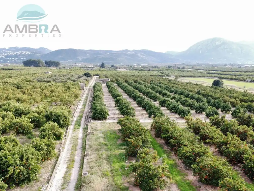 Terreny rústic en venda a Partida Rombins, imagen 10