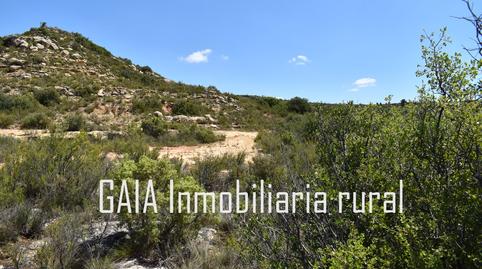 Photo 4 of Land for sale in Doctor Cerrada, Zaragoza