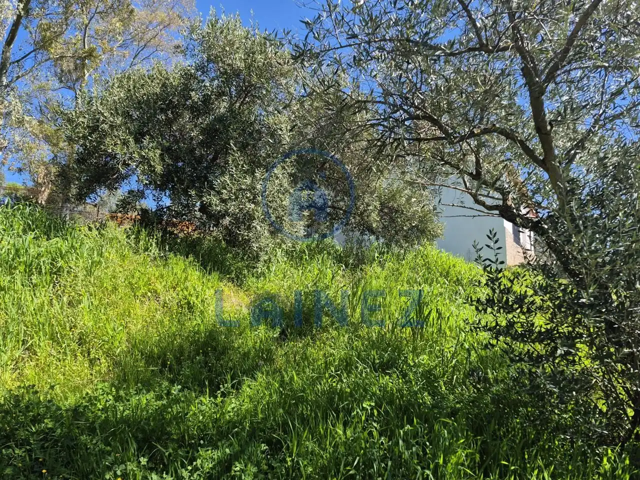 Grundstücke zum Verkauf in Peñarroya-Pueblonuevo