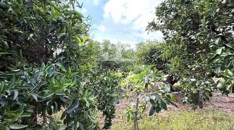 Photo 4 of Land for sale in Ventillas, Los Tablones - La Garnatilla, Motril