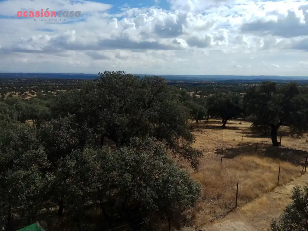 Finca rústica en venta en Villanueva del Duque