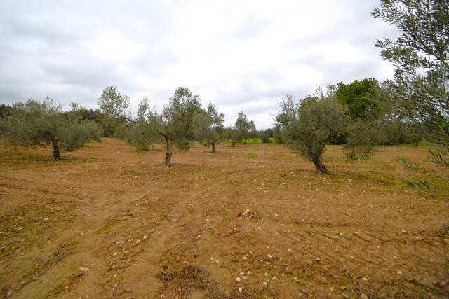 Terreno en Venta en Muro