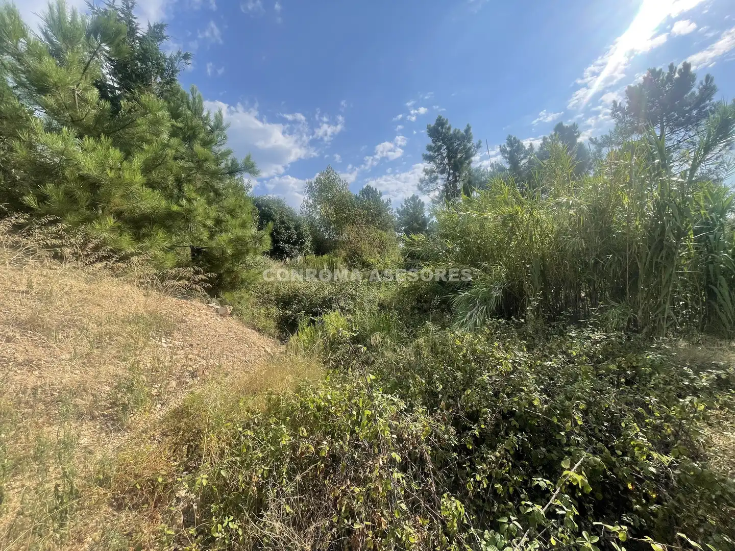 Terreno residenziale in vendita a Riudarenes, imagen 3