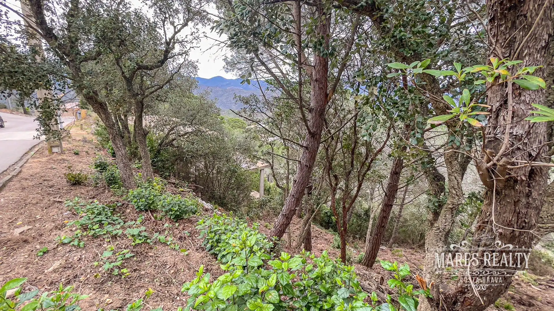 Terrenos y solares en venta en Serra Brava, imagen 4