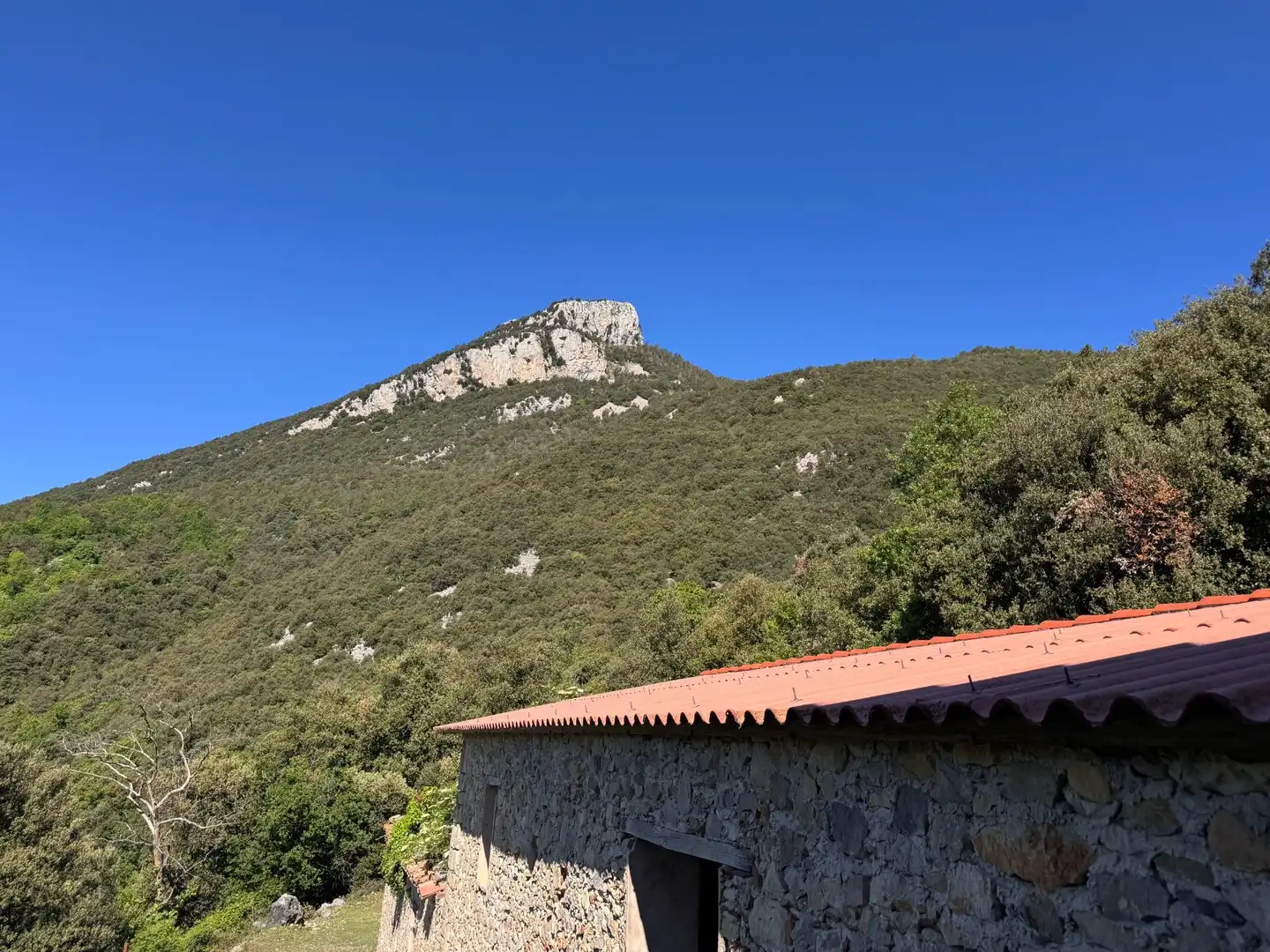 Vista exterior de Finca rústica en venta en Albanyà con Jardín privado, Terraza y Trastero