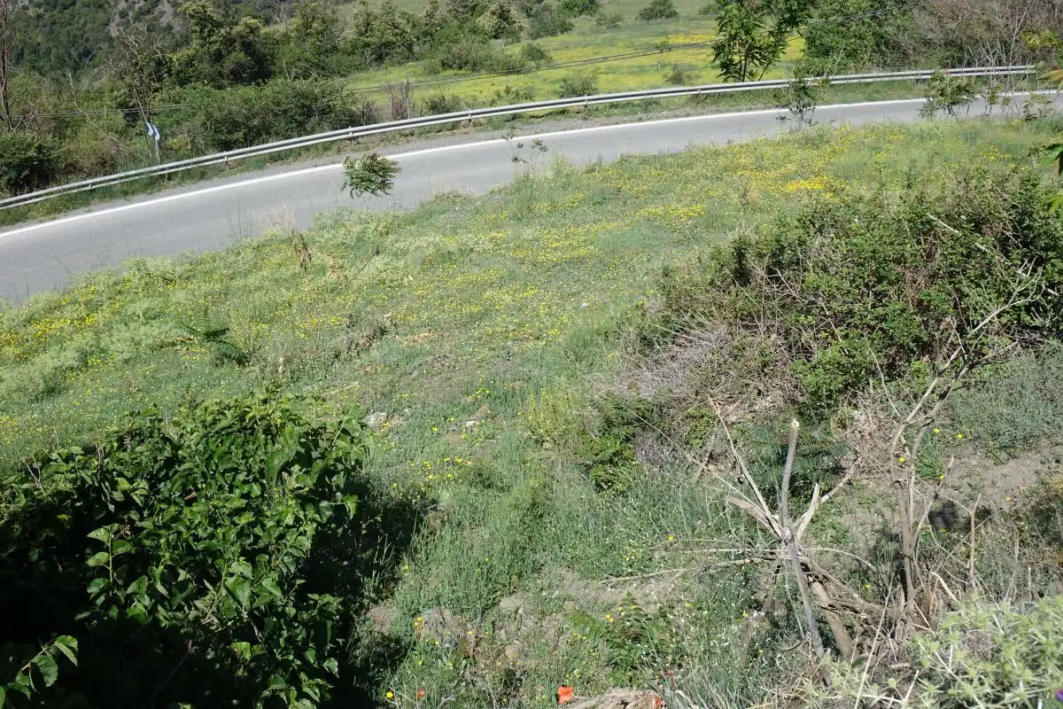 Finca rústica en venta en Capileira