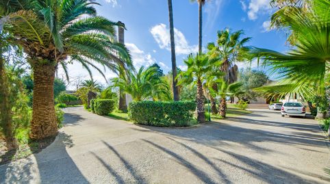 Photo 5 of Houses for sale in Manacor Centre, Manacor